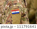 Paraguay flag on soldiers arm. Paraguay troops (collage) 111791641