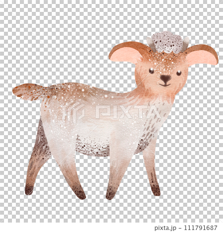 Farm animals watercolor lamb. Watercolor illustration of a cartoon sheep. Cute farm animal isolated on white background. Baby nursery poster design nursery. Farmyard personage. Farm animals watercolor lamb. Watercolor illustration of a cartoon sheep. Cute farm animal isolated on white background. Baby nursery poster design nursery. Farmyard personage. 111791687
