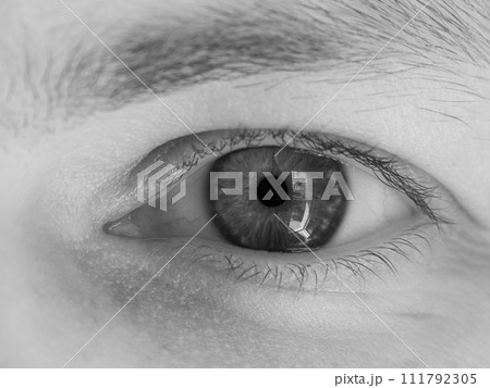 Close-up of a human eye showing intricate details in black and white photography 111792305