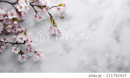 Cherry blossom branches background with copy space for text. Cherry blossom branches background with copy space for text. 111792437