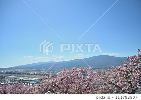 桜咲く!あの山、そして満開 桜咲く!あの山、そして満開 111792807