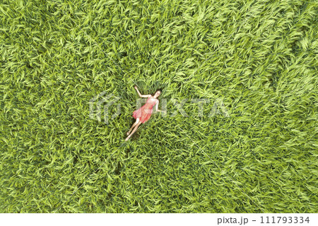 View from above of young attractive slim woman in red dress laying with closed eyes in green wheat field. 111793334