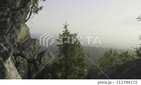 Amazing nature view of green mountain forest and lonely tree growing on a rock with sky as a background. Outdoor natural landscape perspective. View from the rocks of the forest Amazing nature view of green mountain forest and lonely tree growing on a rock with sky as a background. Outdoor natural landscape perspective. View from the rocks of the forest 111794172