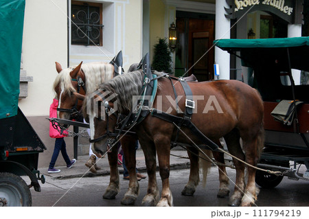 ドイツ フュッセンの町並み 馬車 111794219