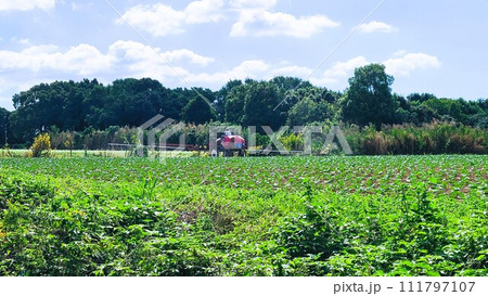 飛行機みたいな農薬散布の風景 飛行機みたいな農薬散布の風景 111797107