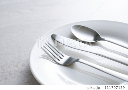 シンプルな白い皿とフォークとナイフとスプーン 111797129