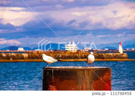 【びわ湖風景】浜大津　雄大な雲と冬の寒さが増す湖南を歩く 111798458