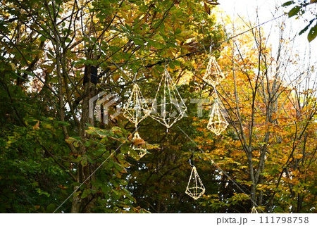 あけぼの子どもの森公園（宮沢湖）の秋 111798758