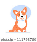 Cute little welsh corgi wearing protective cone isolated on white background. Beautiful purebred dog in veterinary Elizabethan collar design Happy smiling puppy Flat line character illustration 111798780