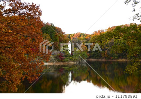 あけぼの子どもの森公園（宮沢湖）の秋 111798893