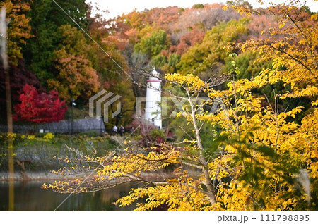 あけぼの子どもの森公園(宮沢湖)の秋 あけぼの子どもの森公園(宮沢湖)の秋 111798895