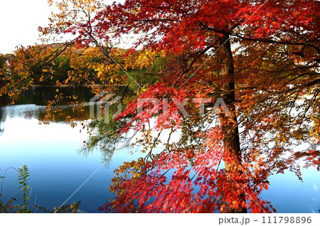 あけぼの子どもの森公園（宮沢湖）の秋 111798896