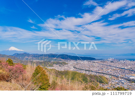 (静岡県)紅梅咲く、梶原山公園から望む富士山 (静岡県)紅梅咲く、梶原山公園から望む富士山 111799719