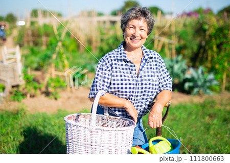 Mature woman having horticultural instruments in garden on day 111800663