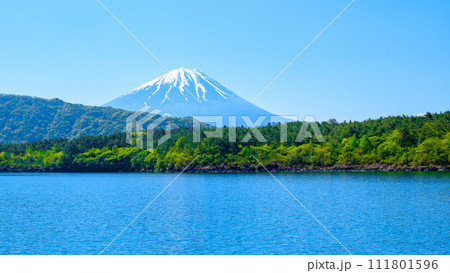 西湖から望む富士山（5月） 111801596