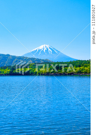 西湖から望む富士山（5月） 111801627