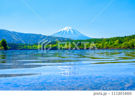 西湖から望む富士山（5月） 111801660
