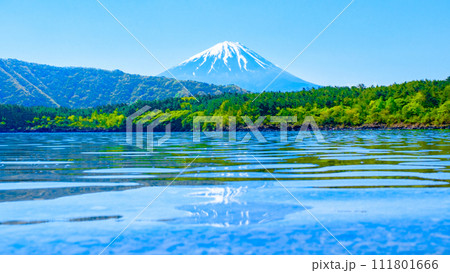 西湖から望む富士山（5月） 111801666