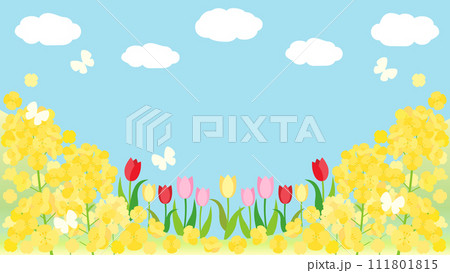 菜の花とチューリップと青空の春の丘のカード アスペクト比16:9バージョン 菜の花とチューリップと青空の春の丘のカード アスペクト比16:9バージョン 111801815