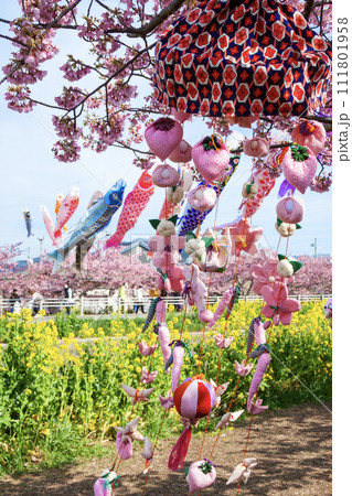 免々田川 菜の花 桜祭り(愛知県田原市) 免々田川 菜の花 桜祭り(愛知県田原市) 111801958