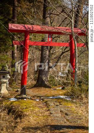 稲荷神社と鳥居 111802502