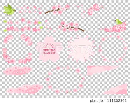 Cherry frame set 111802561