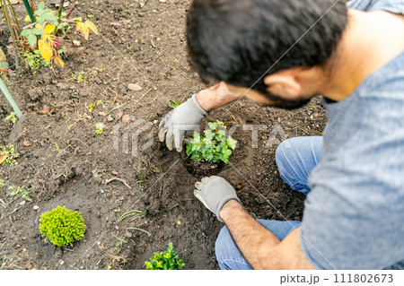 A man planting a shrub in the dirt, adapting to the environment 111802673