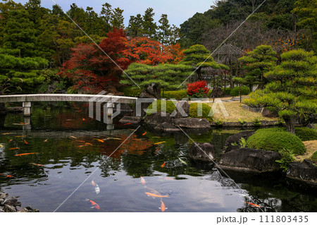 姫路 秋 紅葉の好古園 111803435