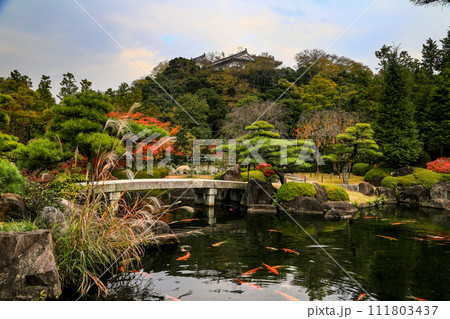 姫路 秋 紅葉の好古園 姫路 秋 紅葉の好古園 111803437