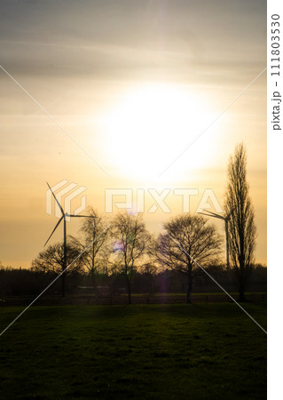 Sunset Over Wind Turbines and Winter Trees Sunset Over Wind Turbines and Winter Trees 111803530