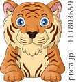 Cute tiger cartoon on white background 111803659