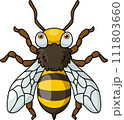 Cute wasp cartoon on white background 111803660