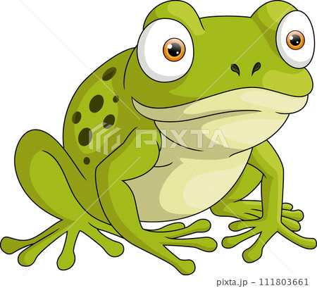 Cute frog cartoon on white background 111803661