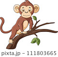 Cute monkey cartoon on tree branch 111803665