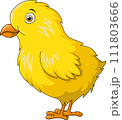 Cute little chick cartoon on white background 111803666
