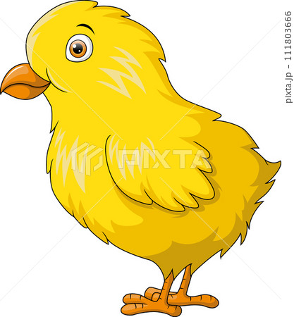 Cute little chick cartoon on white background Cute little chick cartoon on white background 111803666