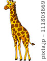 Cute giraffe cartoon on white background 111803669