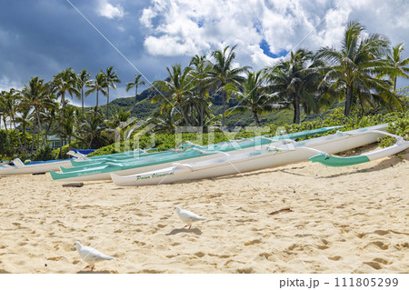 【ハワイ】ラニカイビーチの風景⑨ 111805299