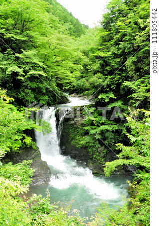 高野大滝(高野山大滝) 【和歌山県高野町】 高野大滝(高野山大滝) 【和歌山県高野町】 111805442
