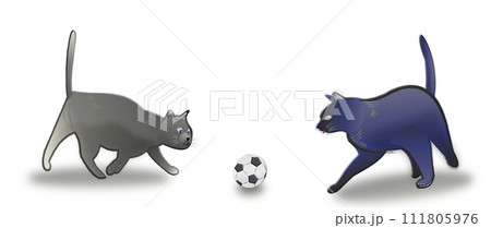 猫のサッカー、キックオフ、創立する、事始め 猫のサッカー、キックオフ、創立する、事始め 111805976