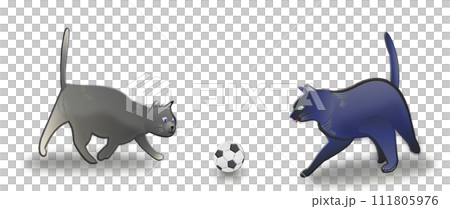 Cat soccer, kickoff, founding, beginning Cat soccer, kickoff, founding, beginning 111805976