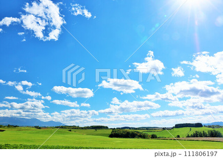 北海道　夏の青空と美瑛の風景 111806197