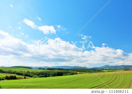 北海道　夏の青空と美瑛の風景 111806211