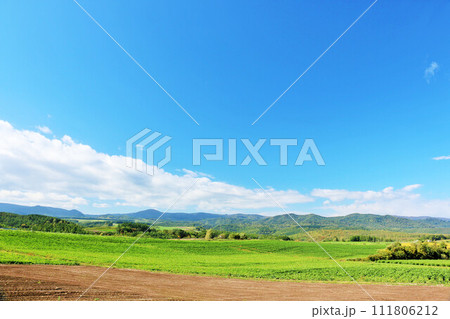 北海道　夏の青空と美瑛の風景 111806212