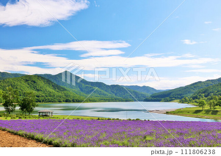 北海道　夏の青空とラベンダーの風景 111806238