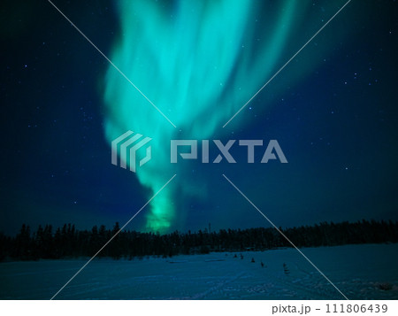 冬のカナダ　イエローナイフのグレートスレーブ湖畔からレベル4のオーロラを観賞 111806439