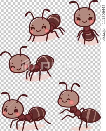 An ant 111806442