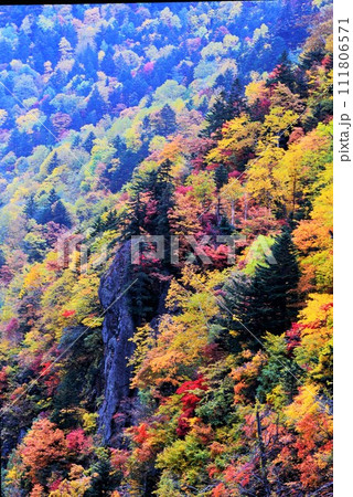 北海道豊平峡(ほうへいきょう)ダムの紅葉 111806571