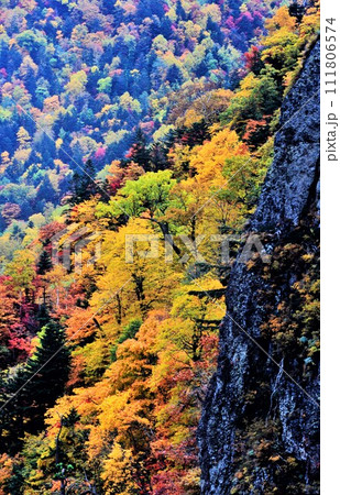 北海道豊平峡(ほうへいきょう)ダムの紅葉 111806574