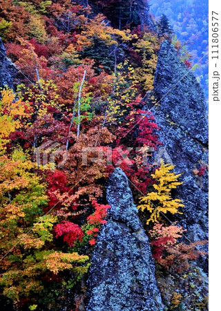 北海道豊平峡(ほうへいきょう)ダムの紅葉 北海道豊平峡(ほうへいきょう)ダムの紅葉 111806577